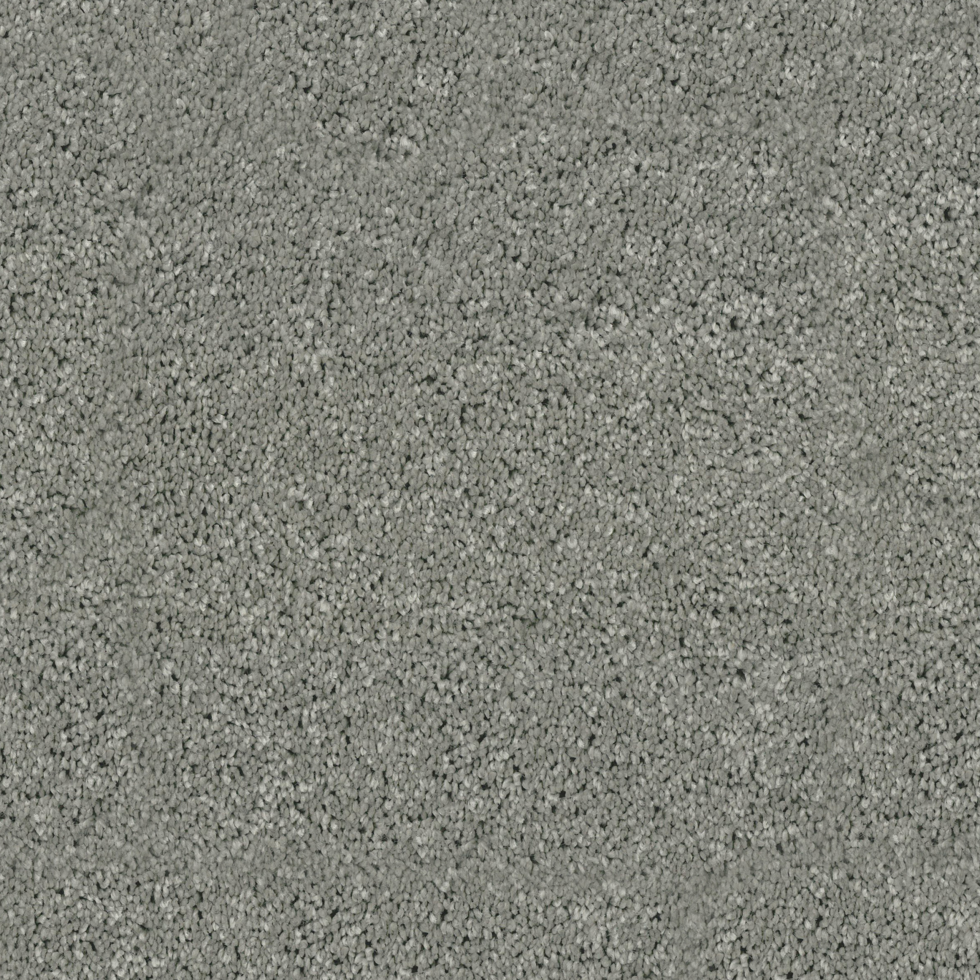 Moquette - Palace - Gris galet