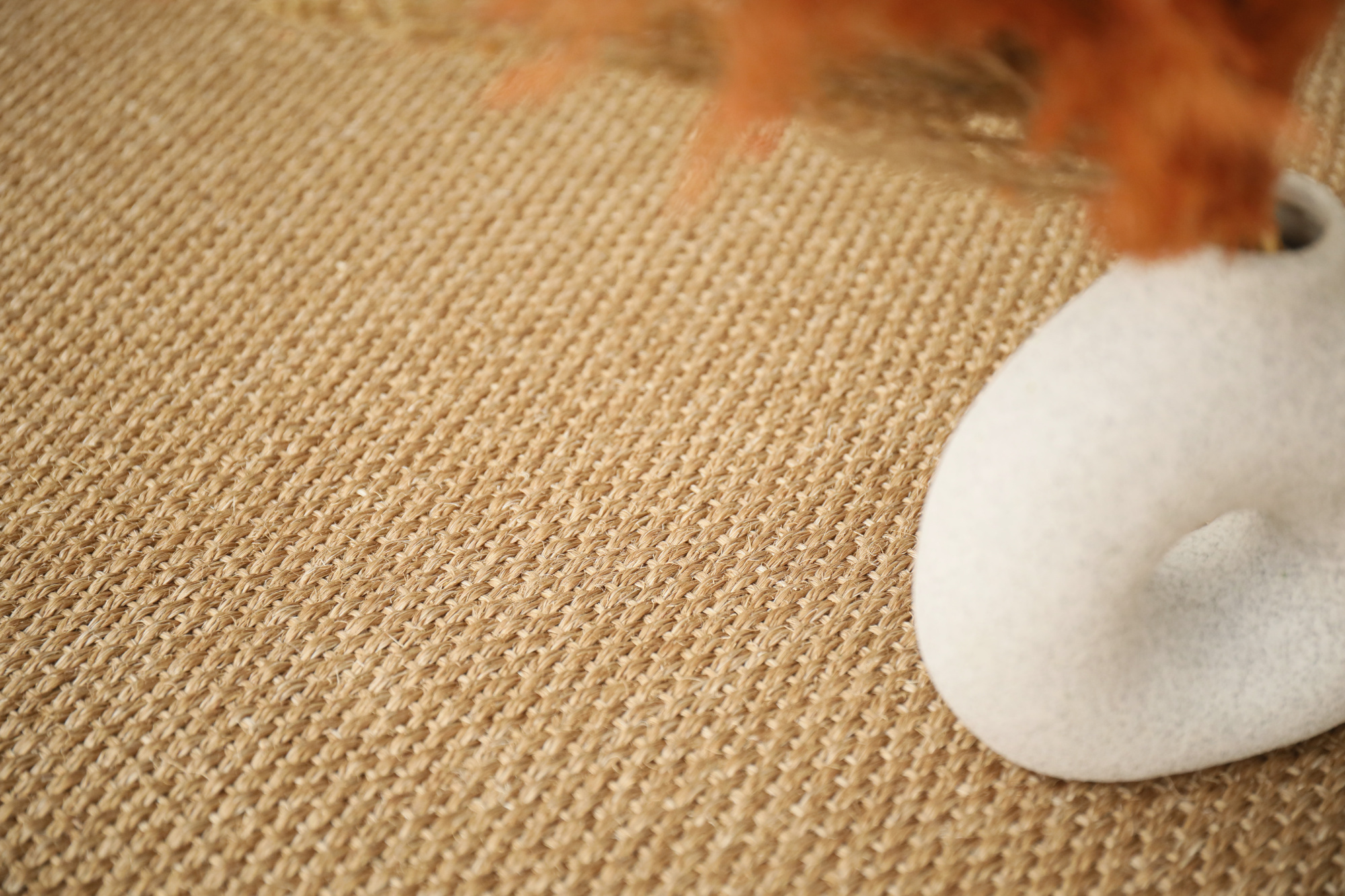 Sol Sisal Crafted - Havane avec détail du tissage fin près d'un vase décoratif