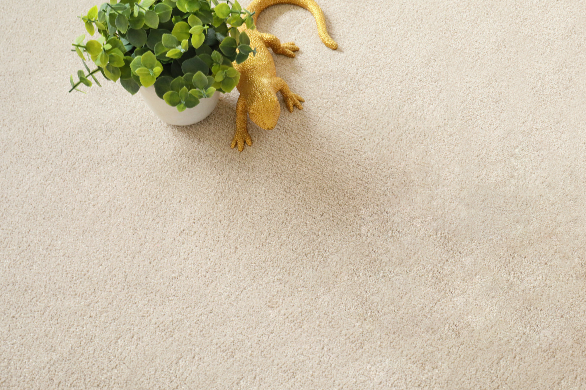 Moquette éco-conçue - Infini 11.5 - Lin naturel avec plante verte mettant en valeur sa teinte beige