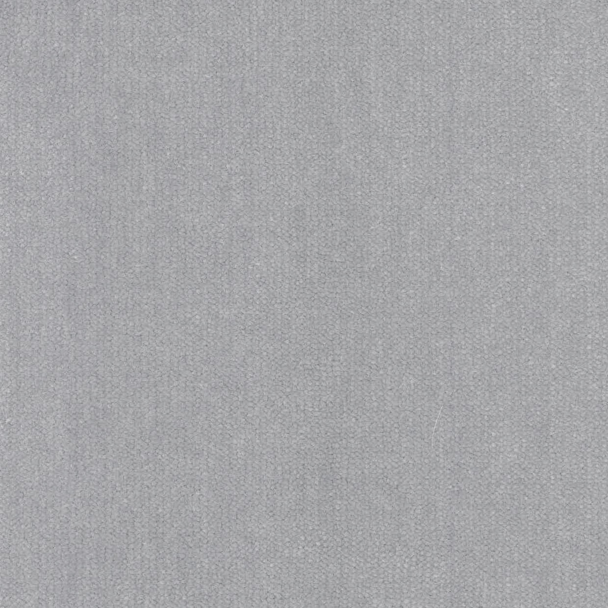Moquette à la coupe Sylon - Gris acier - Haute résistance, vue matière