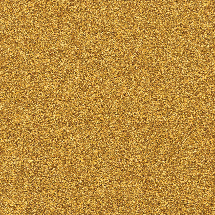 Moquette Délicatesse - Jaune d'or mettant en valeur une texture veloutée aux nuances dorées