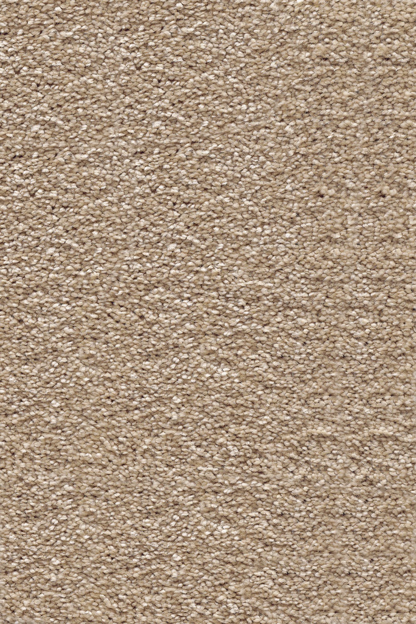 Moquette - Lovely - Café au lait - sans perspective
