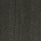 Paillasson brosse anthracite Spécial PMR-ERP en coco 23 mm