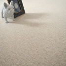 Moquette naturelle en laine - Dolce Vita - Nude avec chien décoratif blanc et cadre photo dans une ambiance douce