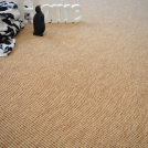 Moquette Tissé plat Lounge - Biscuit