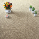 Sol Sisal Chevron - Héritage - Cordage mettant en scène plusieurs plantes décoratives sur un tissage en chevrons