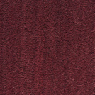 Paillasson brosse Spécial PMR rouge 23 mm en fibres naturelles