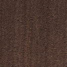 Accessibilité PMR-ERP renforcée avec paillasson brosse marron épais 23mm