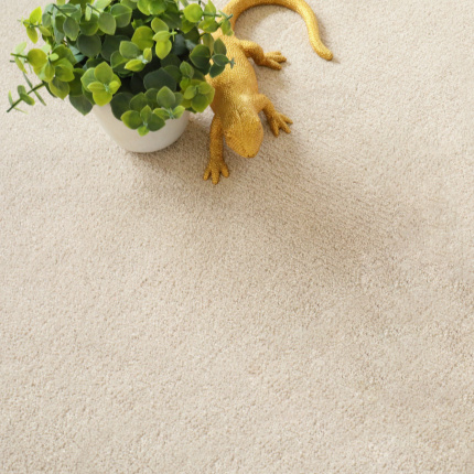 Moquette éco-conçue - Infini 11.5 - Lin naturel avec plante verte mettant en valeur sa teinte beige