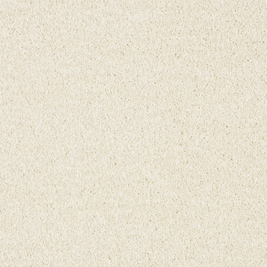 SGftAmZrqa9rihR0.jpg