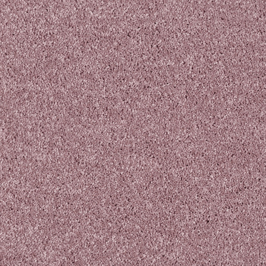 WDwl2dNNT5umspTt.jpg
