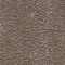 Marron tonka