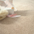 Moquette - Lovely - Café au lait - zoom