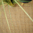 Sol Sisal Minimal Malt, texture végétale authentique aux nuances naturelles et dorées