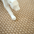 Tissé plat aspect naturel - Backstage - Biscuit avec bracelet décoratif mettant en avant la texture du revêtement