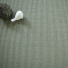 Sol Sisal - Minimal - Gris métallique mettant en valeur son tissage autour d'accessoires décoratifs