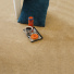 Moquette éco-conçue - Infini 11.5 - Camel mise en valeur par des accessoires aux nuances bleu profond