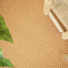 Sol Sisal - Loop - Malt accompagné de grandes feuilles vertes et d'un mobilier en bois naturel