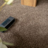 Moquette Infini 11.5 - Marron tonka révélant la douceur de ses fibres recyclées et son aspect satiné