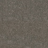 Moquette - Palace - Marron tonka
