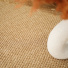 Sol Sisal Crafted - Havane avec détail du tissage fin près d'un vase décoratif