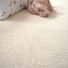Moquette - Lovely - Nuage de lait - zoom