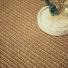 Relief généreux du revêtement Loop Havane soulignant le caractère unique de chaque fibre