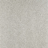 Visuel - Moquette douce - Délicatesse - Gris perlé